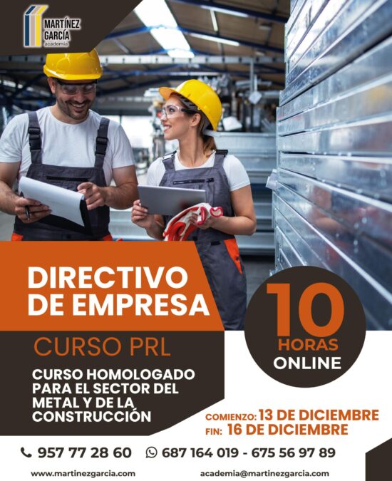 Curso PRL de Directivo de Empresa<span class="badge-status" style="background:#ef1818">FINALIZADO</span>&nbsp;
