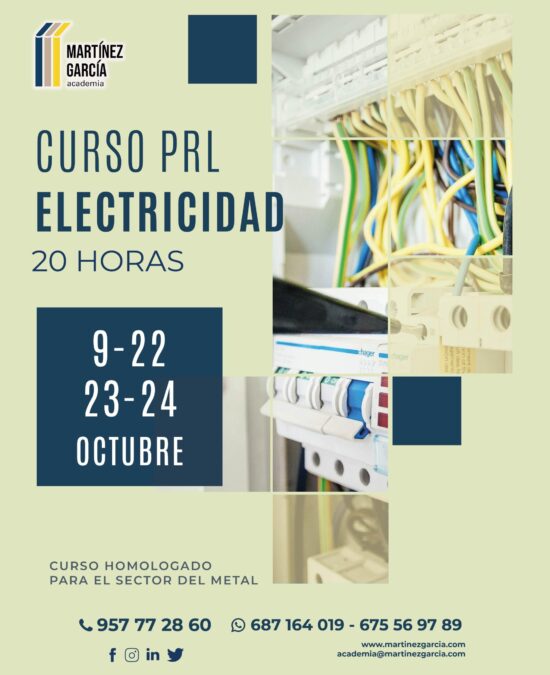 Curso PRL de Electricidad<span class="badge-status" style="background:#ef1818">FINALIZADO</span>&nbsp;