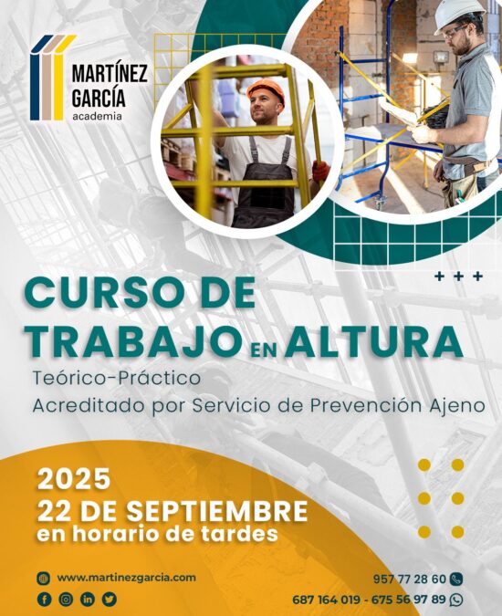 Curso Trabajo en Altura<span class="badge-status" style="background:#ef1818">FINALIZADO</span>&nbsp;