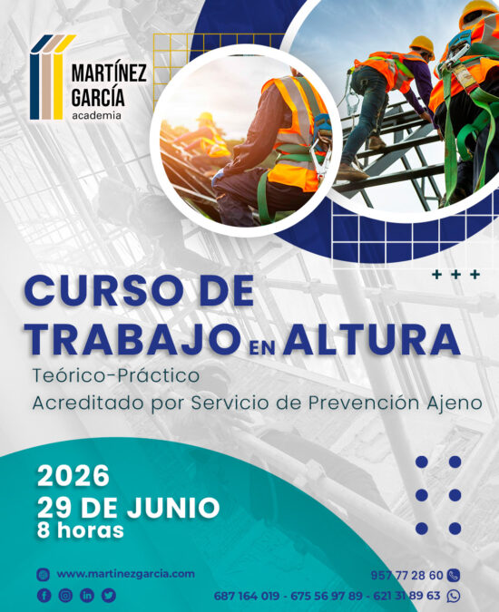 Curso Trabajo en Altura<span class="badge-status" style="background:#ef1818">FINALIZADO</span>&nbsp;